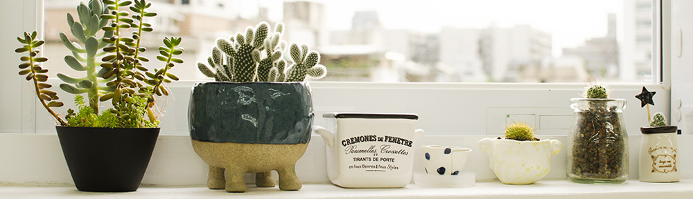 真実子の新・台北ウォッチング